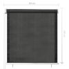 Outdoor Roller Blind 31.5"x55.1" Anthracite