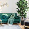 6 Feet Artificial Ficus Silk Tree